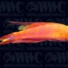 Bell's Flasher Wrasse - Marshall Islands