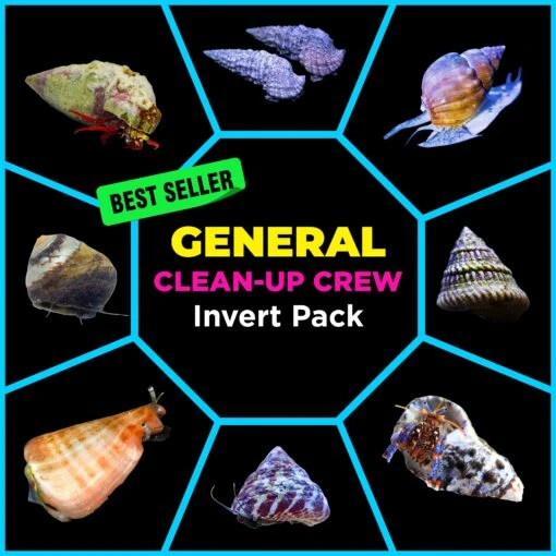 General Clean Up Crew Invert Pack